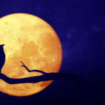 Full moon in the night sky