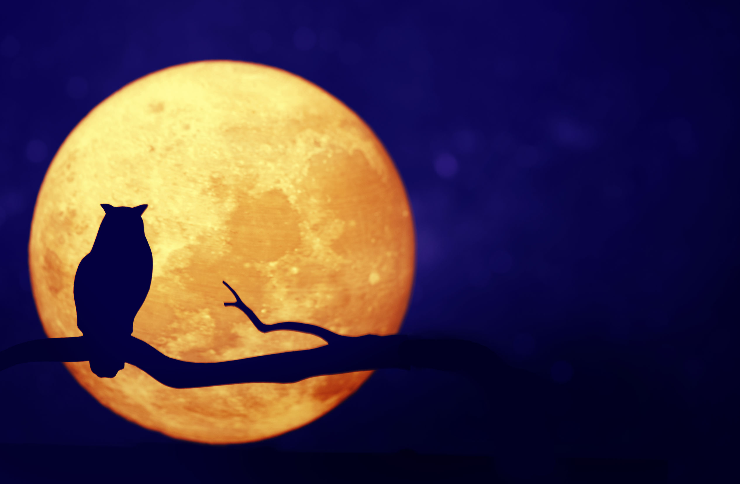 Horoscop zilnic