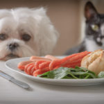 9 alimente toxice pentru animalele de companie