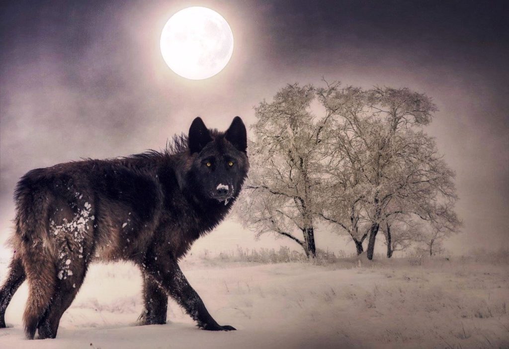 Horoscop zilnic – 28 ianuarie 2021. Luna Lupului, prima lună plină a anului