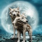 Horoscop zilnic – 28 ianuarie 2021. Luna Lupului, prima lună plină a anului