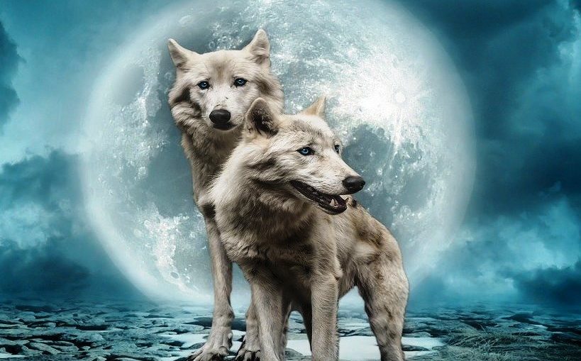 Horoscop zilnic – 28 ianuarie 2021. Luna Lupului, prima lună plină a anului