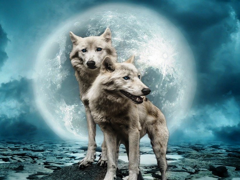 Horoscop zilnic – 28 ianuarie 2021. Luna Lupului, prima lună plină a anului