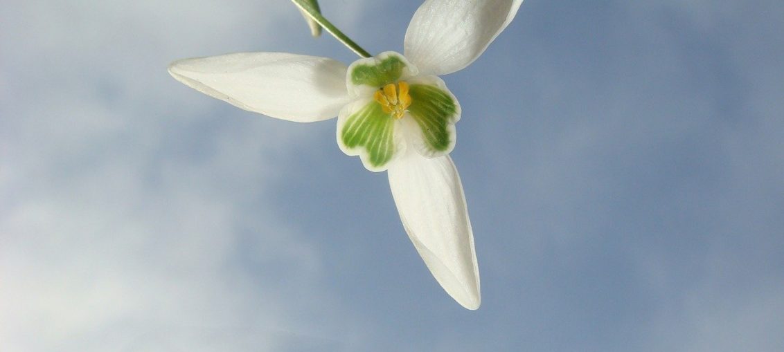 Horoscop zilnic – 22 februarie 2021. Ultima săptămână de iarnă