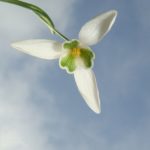Horoscop zilnic – 22 februarie 2021. Ultima săptămână de iarnă