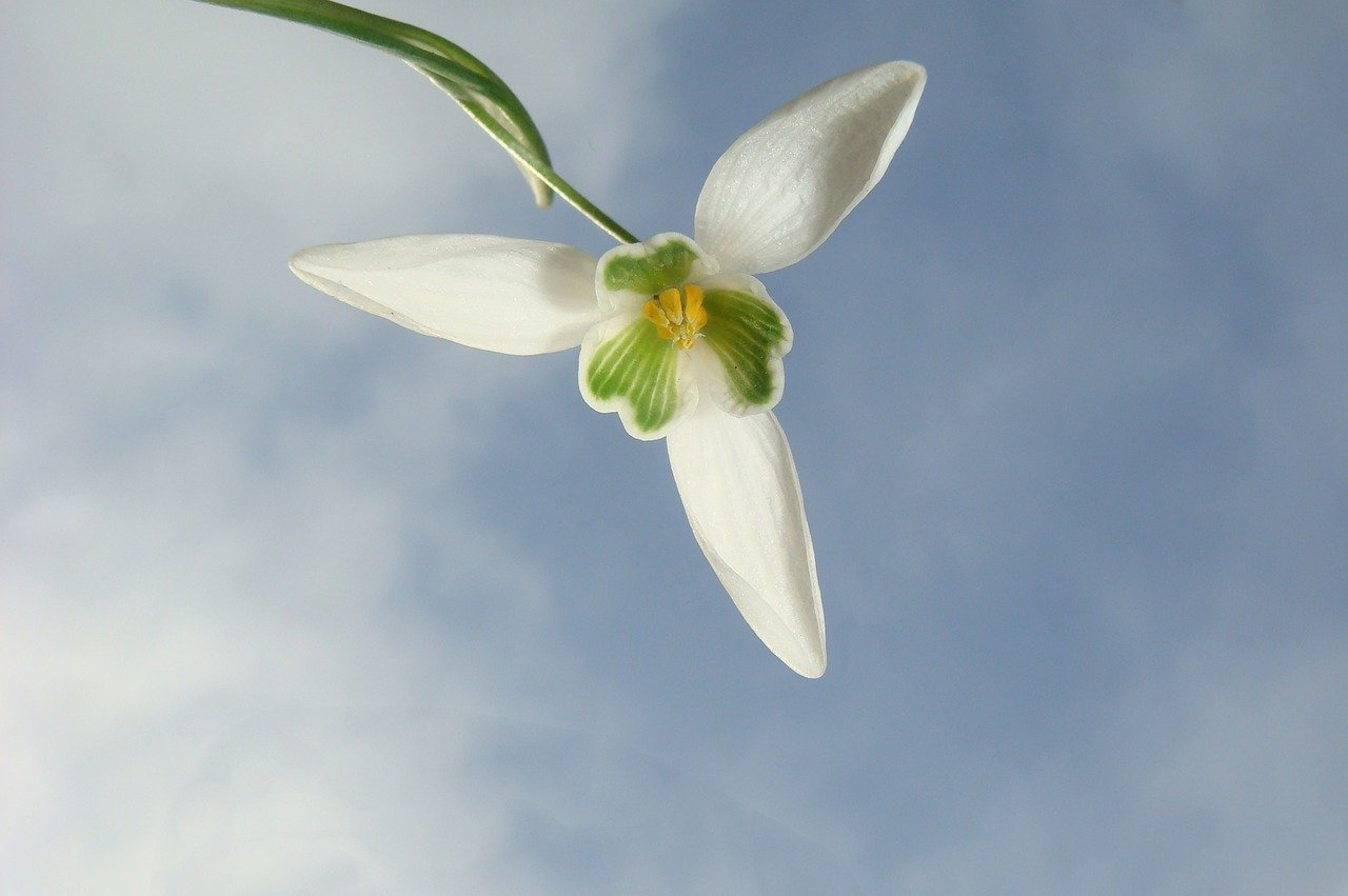 Horoscop zilnic – 22 februarie 2021. Ultima săptămână de iarnă