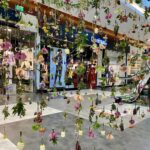 Extranatura pe Instagram în Sun Plaza Extranatura pe Instagram în Sun Plaza