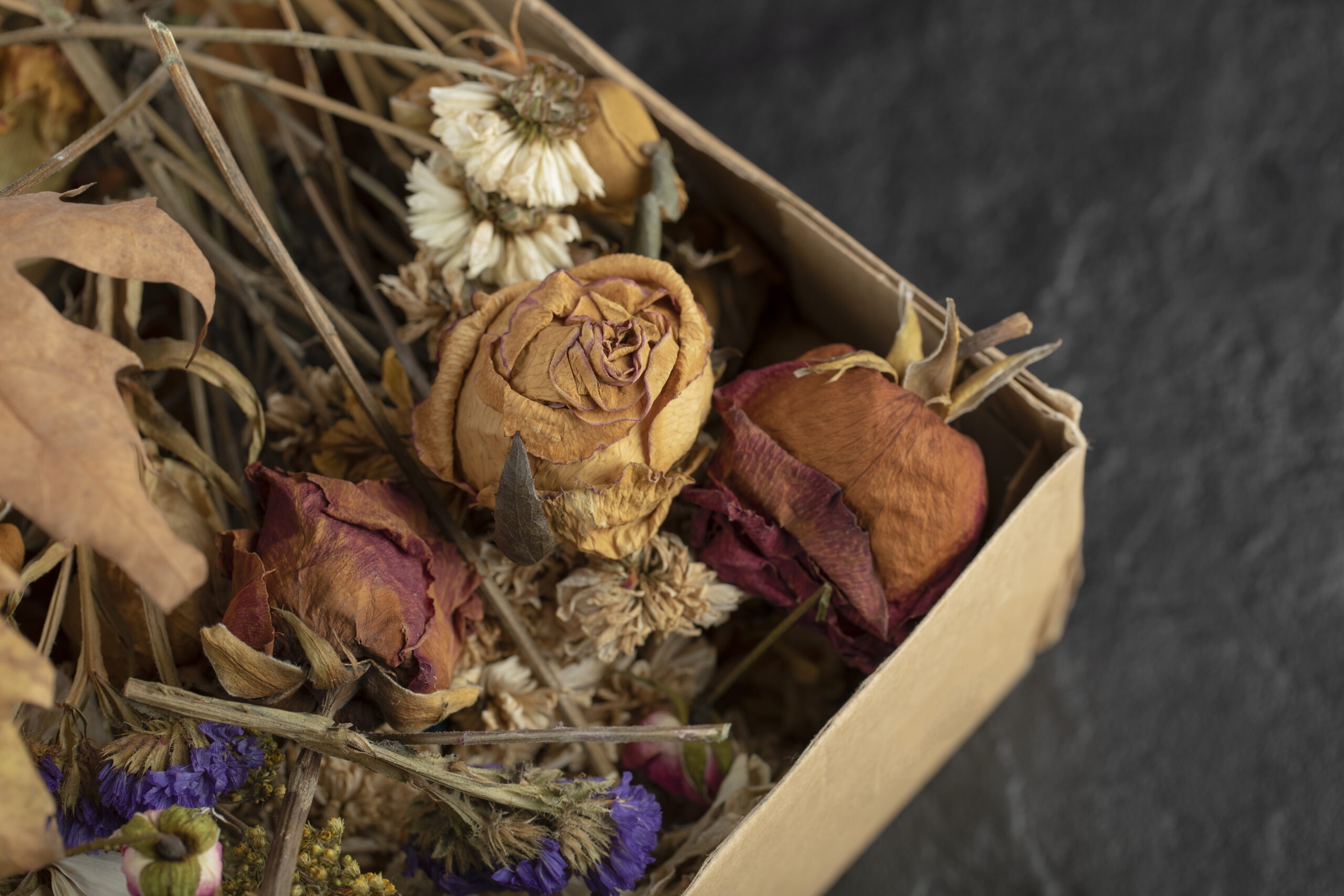 De ce să nu păstrezi florile uscate în casă indiferent cât de mult îți plac. Pericolele ascunse din spatele esteticii frumoase