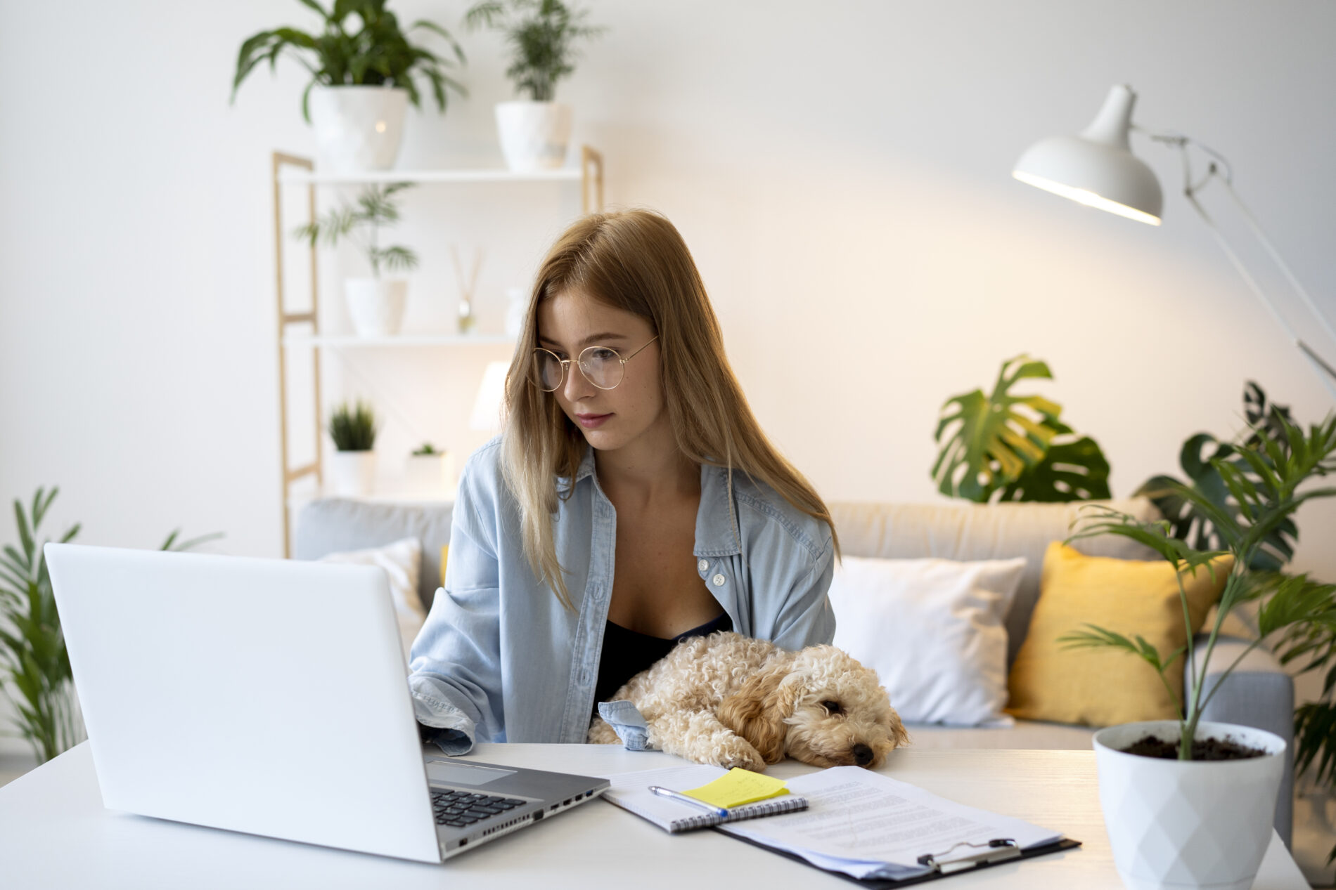 Idei afaceri cu bani puțini pentru femei. Sursa foto: Freepik