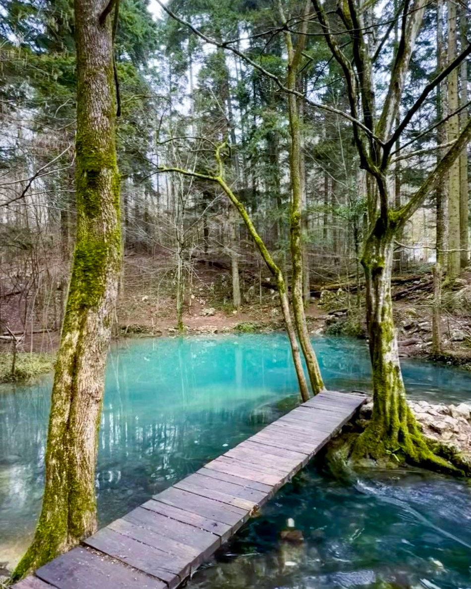 Lacul Ochiul BeiuluiSursa foto: Facebook/ Banatul Montan