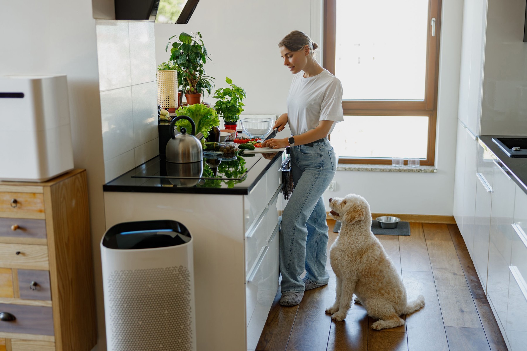 Plante sigure pentru animale, care înfrumusețează casa. Sursa foto: Yaroslav Astakhov / Stock Budget / Profimedia