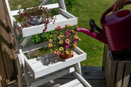 10 flori de primăvară care cresc spectaculos în ghivece. Idei simple pentru o terasă plină de culoare