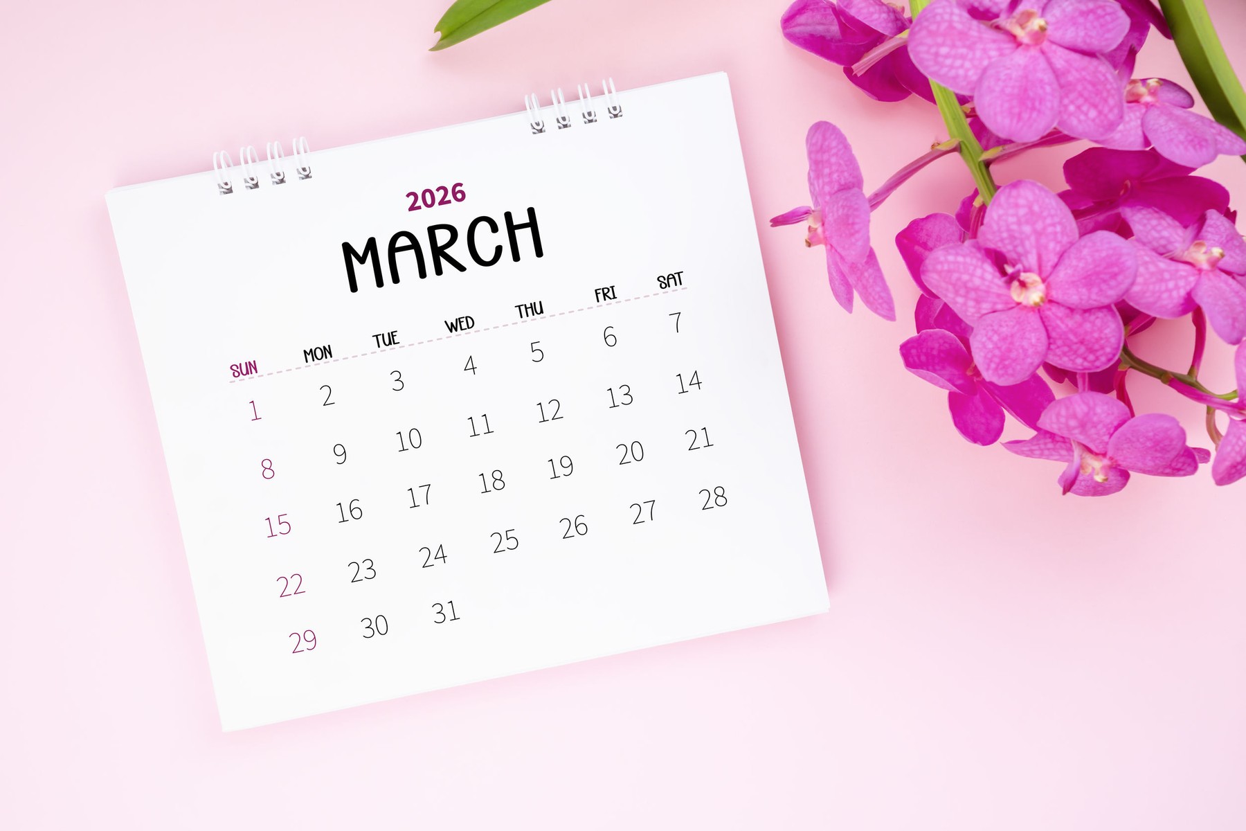 Martie 2026 aduce revelații, emoții intense și șansa de a lua decizii clare pentru fiecare zodie. Sursa foto: PENCHAN PUMILA / Stock Budget / Profimedia