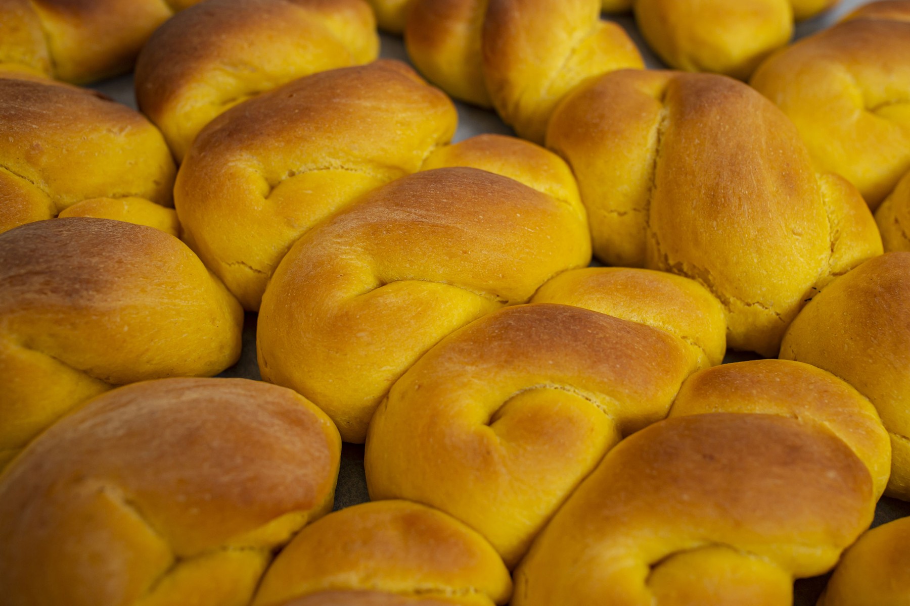 Sfintisori . Sursa foto: Dorin Puha / Stock Budget / Profimedia