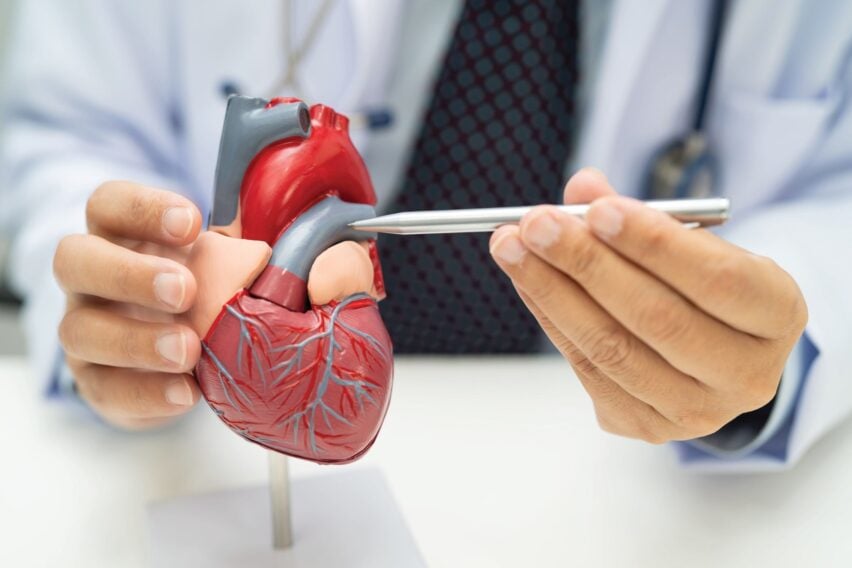 Trei obiceiuri zilnice care reduc riscul de infarct și AVC. Ce au descoperit cercetătorii