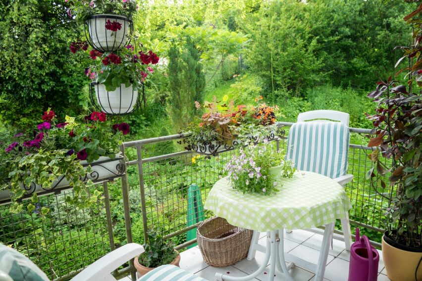 Planta care rezistă perfect pe balcon vara aceasta. Are flori care își schimbă culoarea și suportă canicula