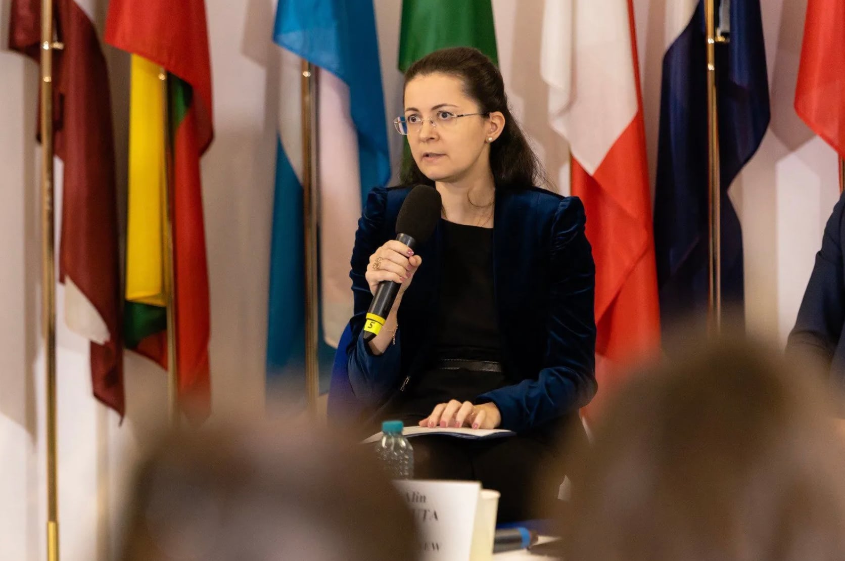 Mihaela Ilincuța Ștefan-Simion este diplomat de carieră (Sursă foto: X @Mistefan2014)