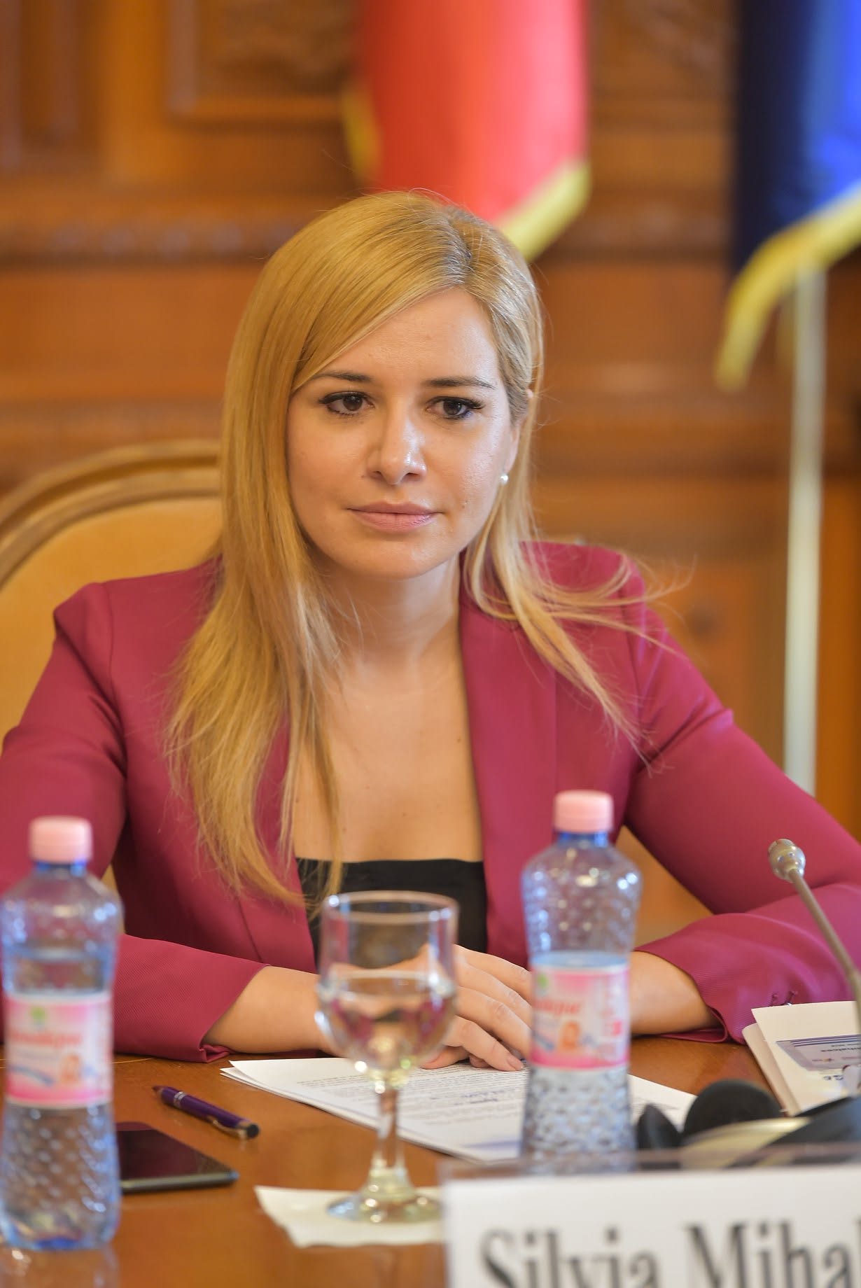 Silvia Mihalcea este deputat PSD ( Sursa foto: Facebook)