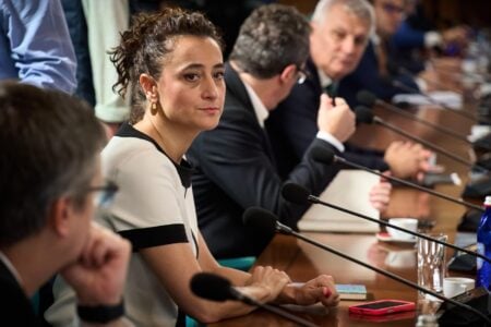 Cine este Ioana Ciocan, femeia de la conducerea Ministerului Culturii. De ce vrea să semneze ordinele ca „ministră”